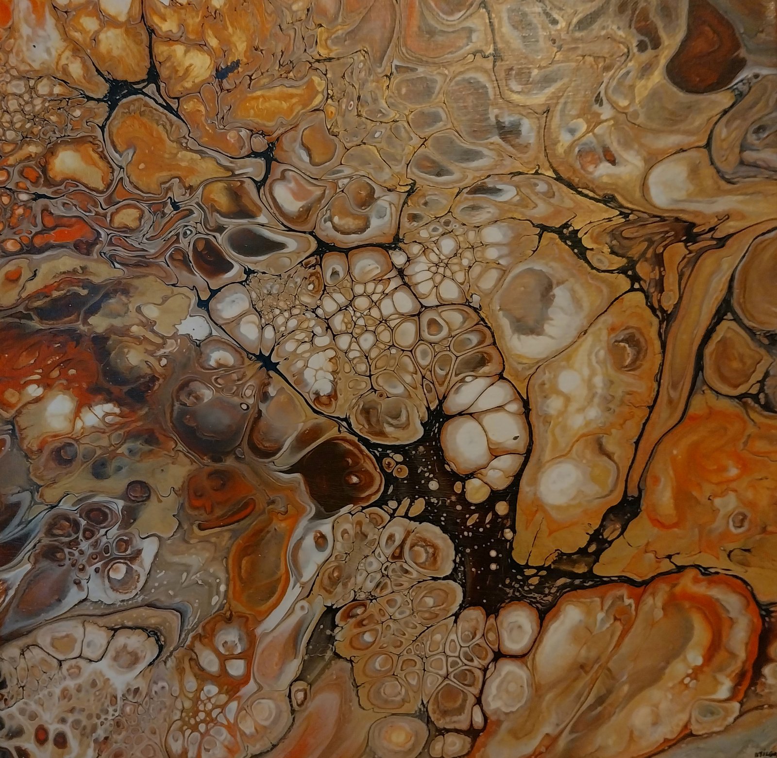 Braise 40×40