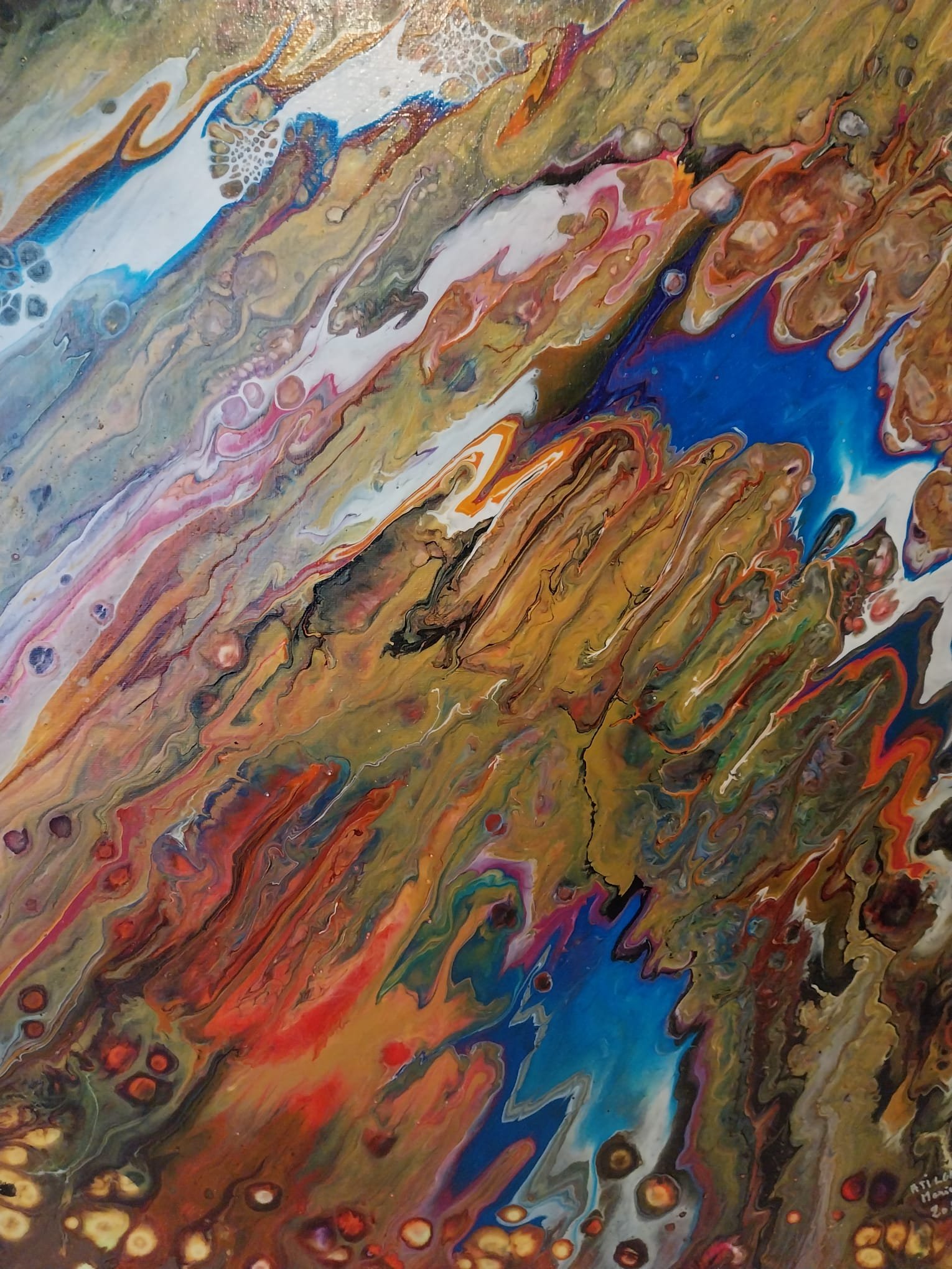 Élan fragile 81×65