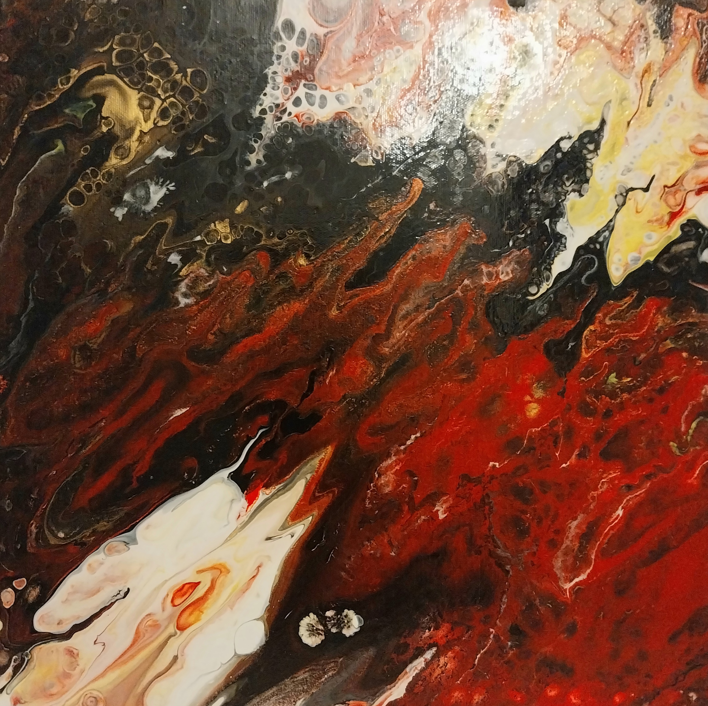 Boréale 40×40
